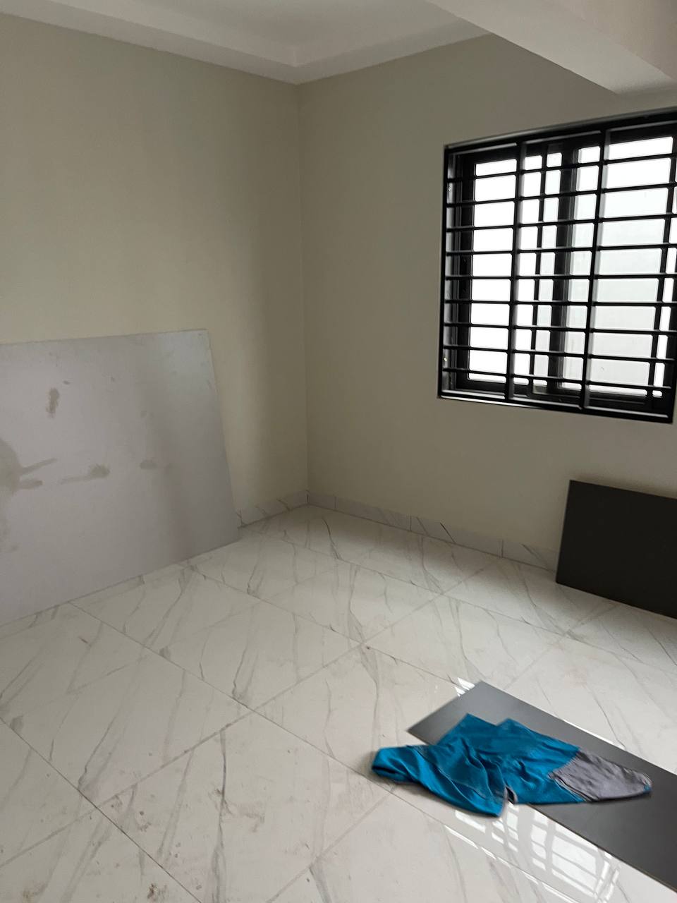 Ongoing Project 1